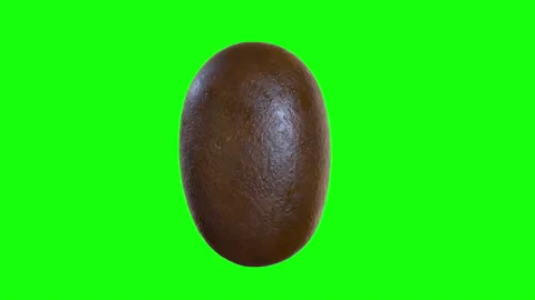 Closeup slow motion coffee beans grain rotation tuning on green screen. Stock Footage 283972051