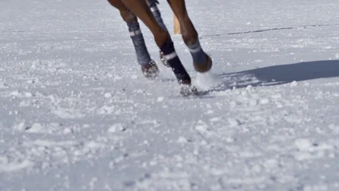 Closeup slow motion of horse galloping in snow 스톡 동영상 102068078