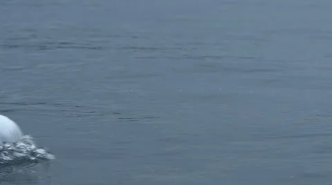 Closeup Slow Motion Swimmer Stock Footage 40274276