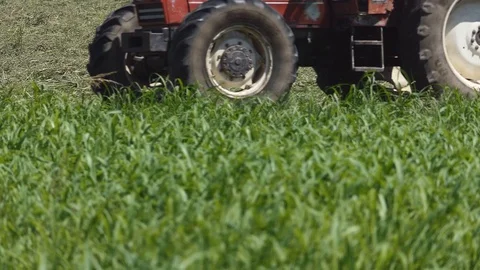 Closeup slow motion tedder Stock-Footage 113570625