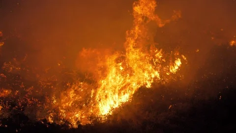 Closeup of slow motion wildfire Video stock 108639322