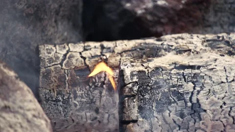 Closeup of a small bonfire flame on charred wood Vídeos de archivo 200432203