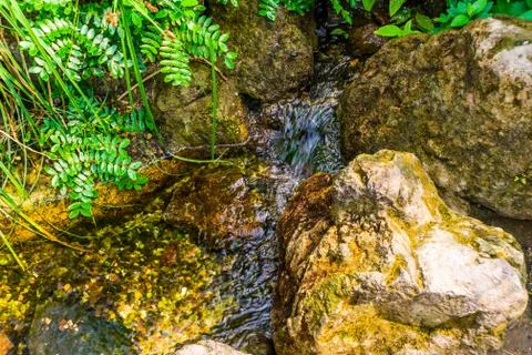 Closeup of a small brook streaming over some rocks, nature background Stock Photos