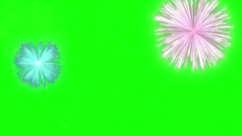 Closeup of a small, delicate pink flower with soft petals and a yellow center, Stock Footage 337460576
