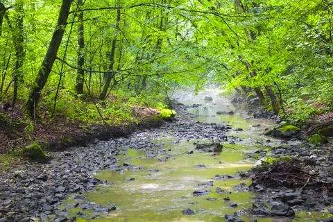 Closeup of a small fast river with big stones in the green forest Stock Photos