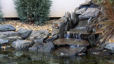 Closeup on a small pond in a front yard Video stock 85783512