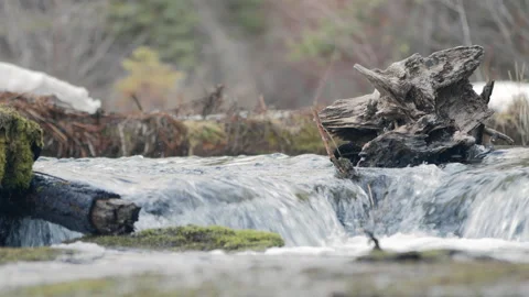 Closeup small river waterfall and logs slow pan left to right Stock Footage 170189288
