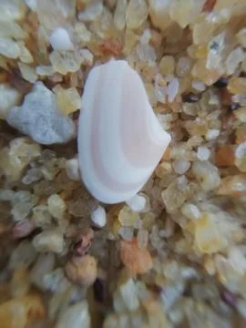 Closeup of small stone with blur background Stock Photos