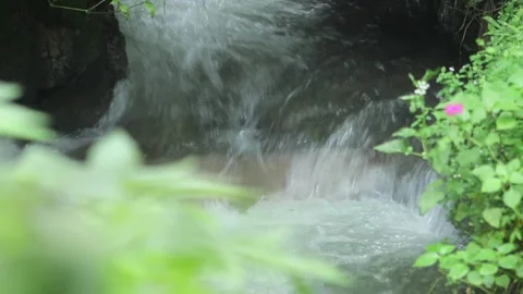 Closeup Of Small Stream Flowing 스톡 동영상 244889006