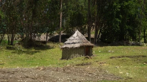 Closeup of a small thatched hut with bricks in a green field with large trees in Видео 164592873