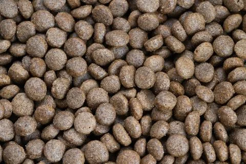 Closeup small training kibble pellets ideal for rewards and portion control.. Stock Photos