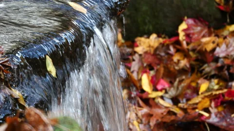 Closeup of small waterfall Stockbeeldmateriaal 220738043
