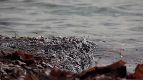 Closeup of small waves crushing on a stone Video stock 220773898