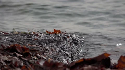 Closeup of small waves crushing on a stone Video stock 220802458