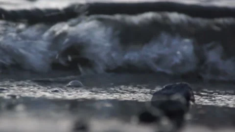 Closeup Small Waves Hitting Shore Stock Footage 160166179