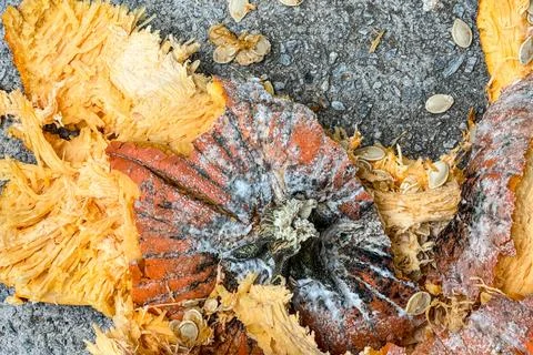Closeup of smashed pumpkin lying in pieces on pavement Foto stock