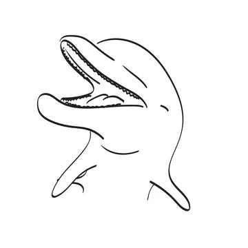 Closeup smiling dolphin illustration vector hand drawn isolated on white イラスト素材