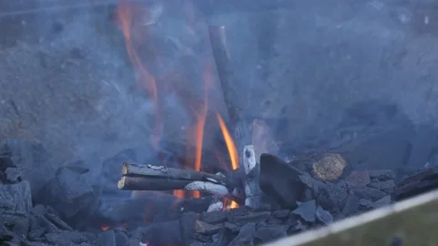 Closeup of Smokey Barbeque Fire Stock Footage 172192737