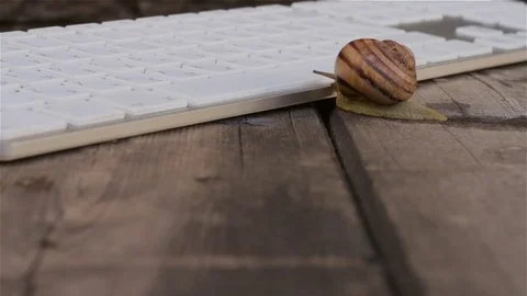 Closeup of a Snail crawling slowly on the computer keyboard. Allegory and Stock Footage 75074190