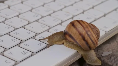 Closeup of a Snail crawling slowly on the computer keyboard. Allegory and Stock Footage 75074385