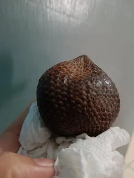 Closeup of snake fruit on tissue paper Stock Photos