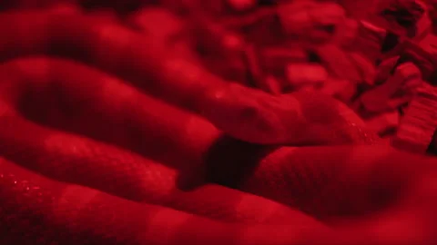 Closeup snake, Red lighting. Stock Footage 133534787