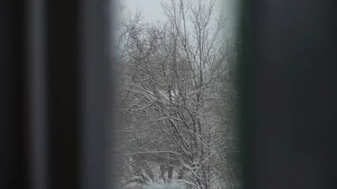 Closeup of snow-covered trees outside window an apartment building in town Stock Footage 263121630