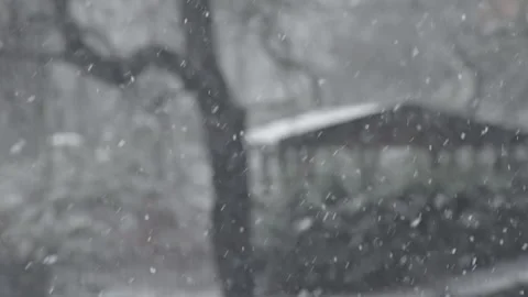 Closeup of snow flakes falling down with a park in the background Stock Footage 268692919