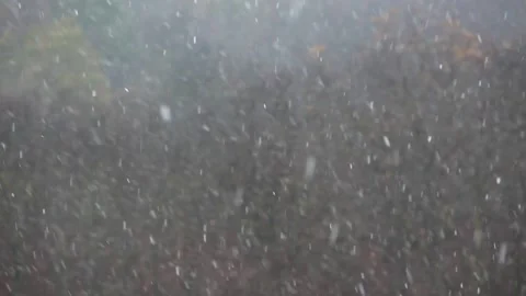 Closeup of snowfall Stock Footage 145610056