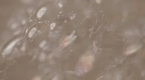 Closeup of soap foam Stock Footage 52512030