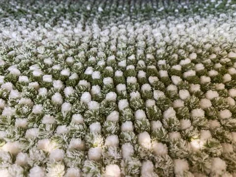 Closeup of a soft, textured bath mat with a green and white checkered pattern Fotos de archivo