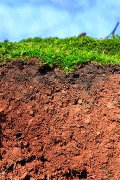 Closeup of a soil Stock Photos