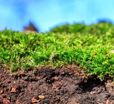 Closeup of a soil Stock Photos