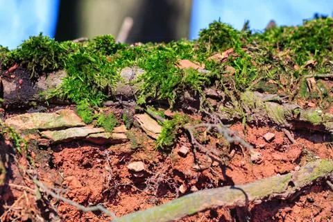 Closeup of a soil Stock Photos