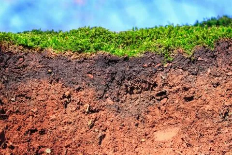 Closeup of a soil Stock Photos