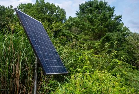 Closeup of solar panel operating in a green nature surrounding trees and orna Stock Photos