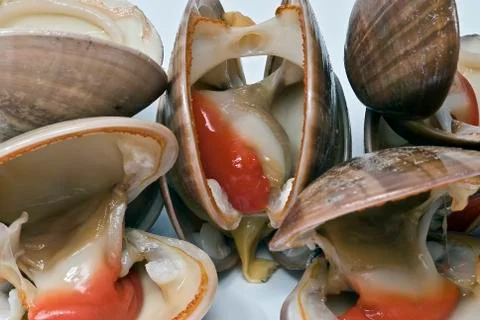 Closeup from some clams. Stock Photos