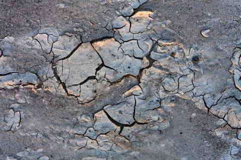 Closeup of some mud texture Stock Photos