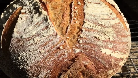 Closeup of sourdough bread crust fresh out of the oven Video stock 122018383