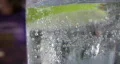 Closeup of sparkling water & lime slice HD Footage