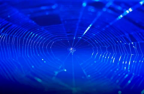 Closeup spiderweb with dark blue background. Network connection concept. Pict Stock Photos