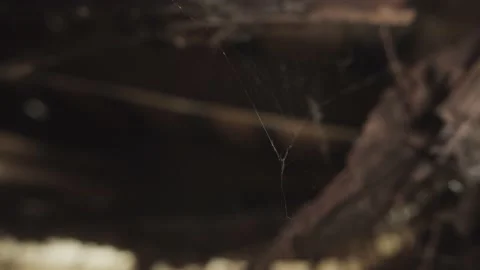 Closeup of a spiderweb in an old abandoned broken building Stock Footage 137737084