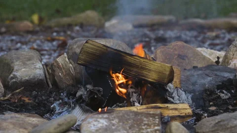 Closeup of split wood logs that are charred and burning in a small campfire. Video stock 342092066