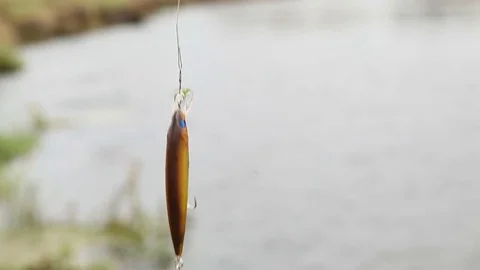 Closeup of spoon bait Stock Footage 72041262