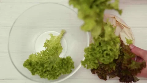 Closeup of spring fresh green salad leaves in a bowl. Process of prepar Video stock 310723295