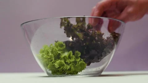 Closeup of spring fresh green salad leaves in a bowl. Process of prepar Video stock 310723299