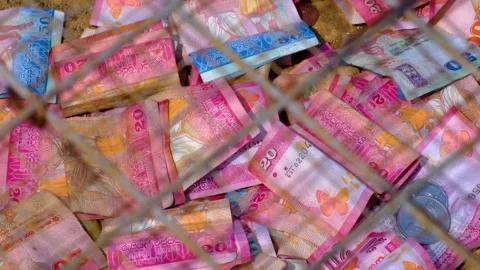 Closeup Sri Lankan currency notes and coins money in donation box of temple in Stock Footage 336699887