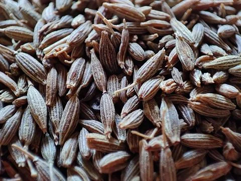 Closeup of a stack of cumin seeds o Stock Photos