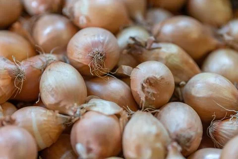 Closeup of a stack of fresh red onion in a market Foto stock