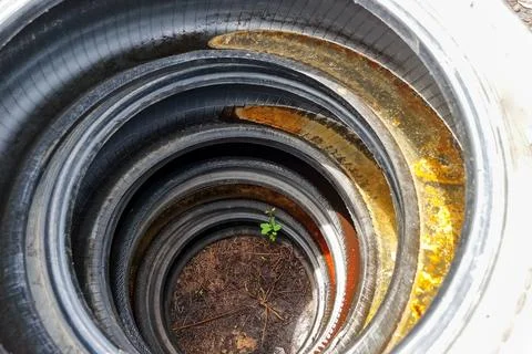 Closeup on stack of old and used tires with rain water and become breeding place Stock Photos
